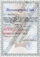 /album/certifikaty/zl-automatizovane-zpracovani-dat-jpg/